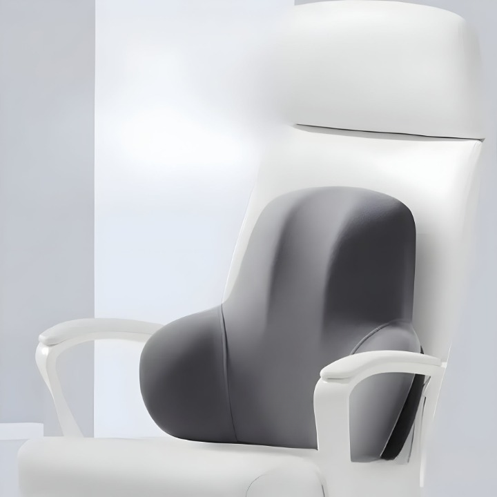 2-in-1 Seat And Back Support Cushion