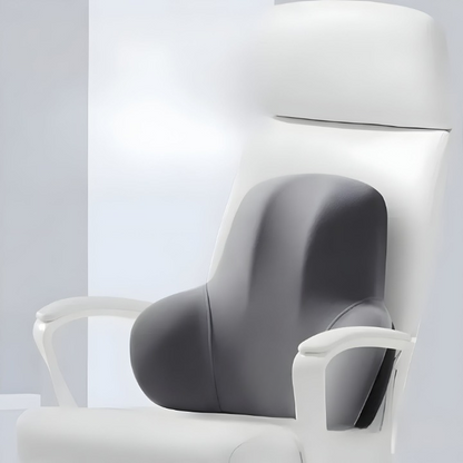 2-in-1 Seat And Back Support Cushion