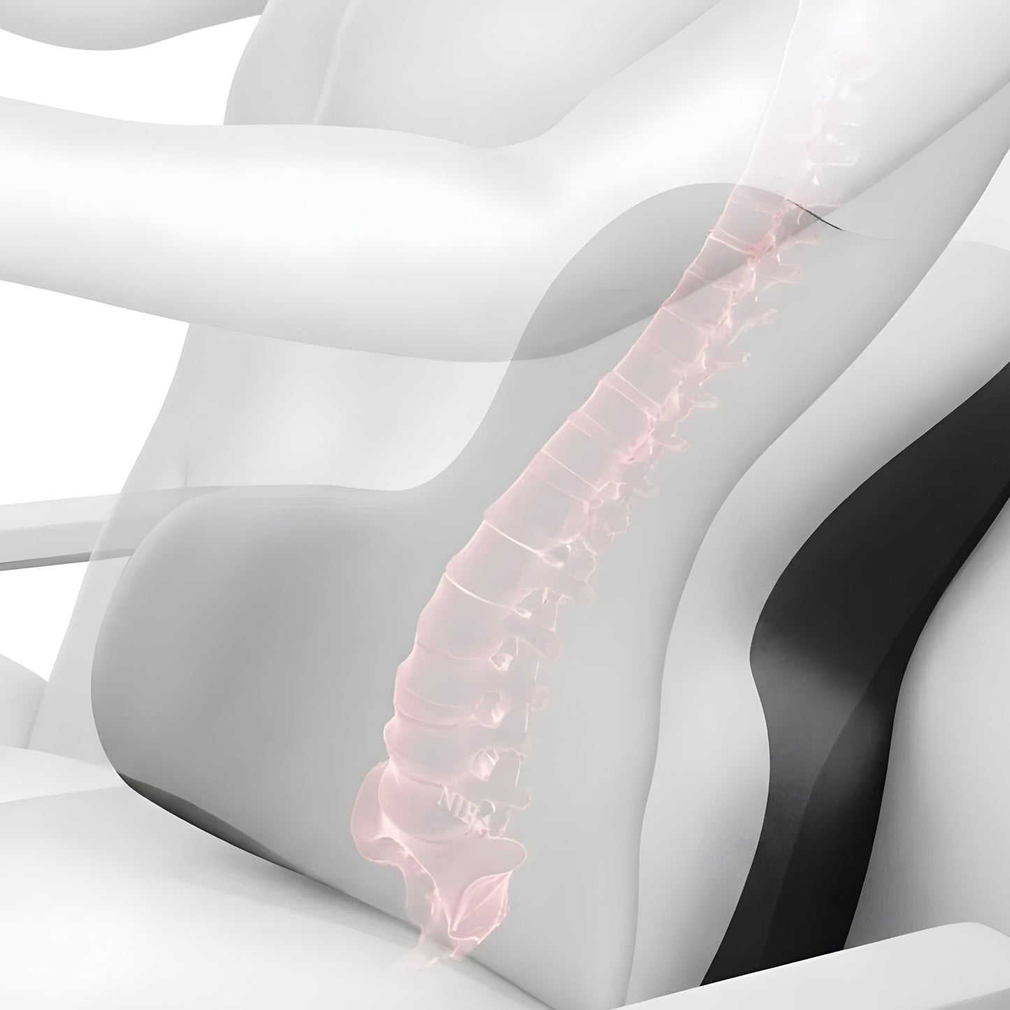 2-in-1 Seat And Back Support Cushion