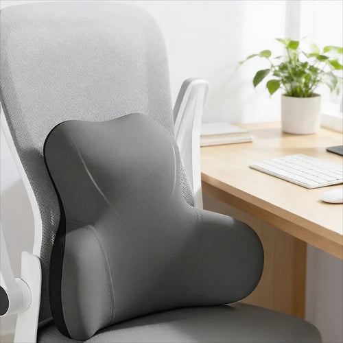 2-in-1 Seat And Back Support Cushion