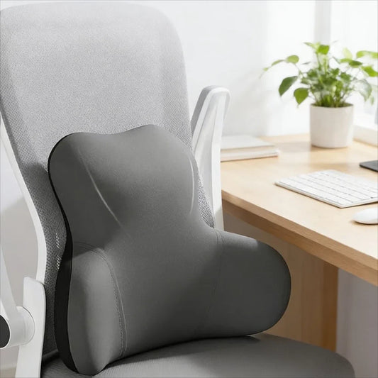 2-in-1 Seat And Back Support Cushion